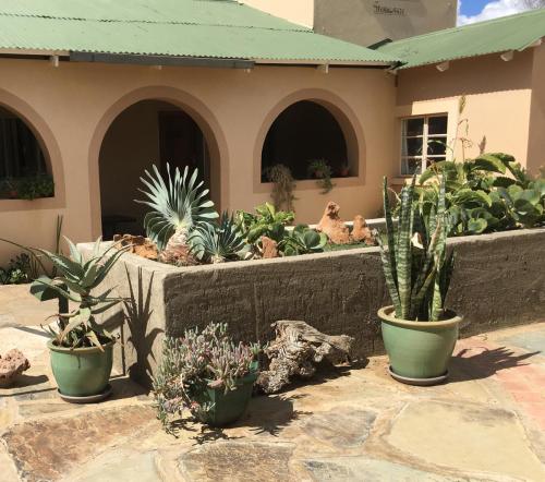 Court yard with indigenous plants
